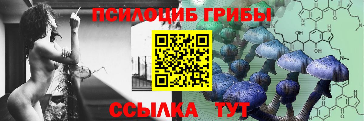 Каменск-Шахтинский  Галлюциногенные грибы MAGIC MUSHROOMS  где можно купить наркотик  Вход с VPN  Псилоцибиновые грибы мицелий 