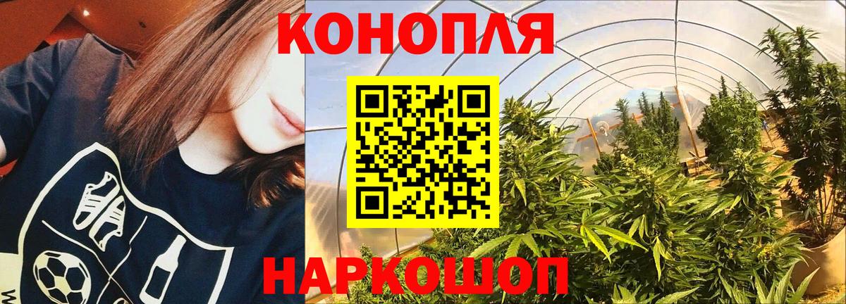 Каннабис ГИДРОПОН  Вход с VPN  Шишки марихуана SATIVA & INDICA  Каменск-Шахтинский  Бошки Шишки сатива  Конопля Bruce Banner 